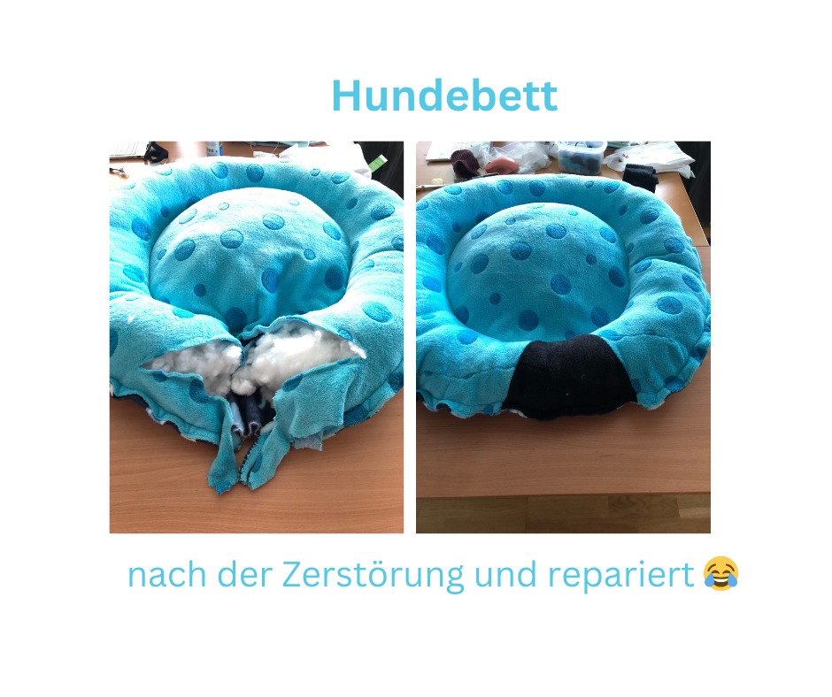 Hundebett-Reparatur